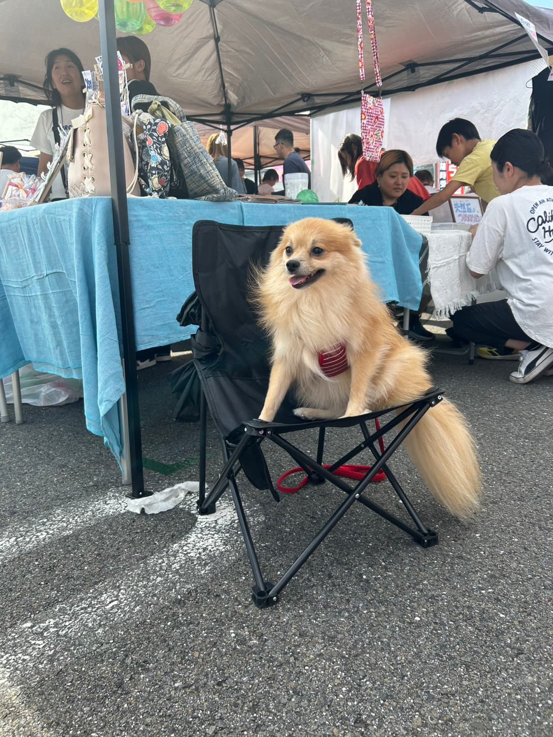受付役をしてくれたRくん